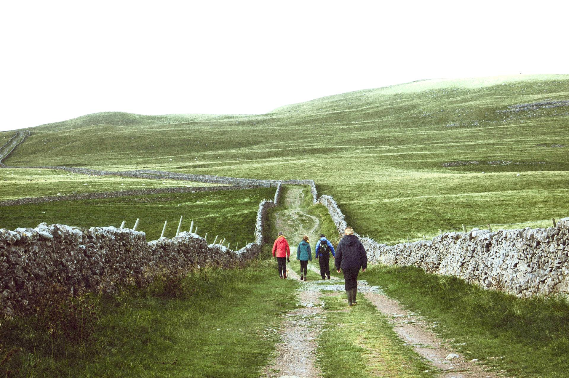 Rolling green landscape with a footpath, representing the physical space Brelisk watches over